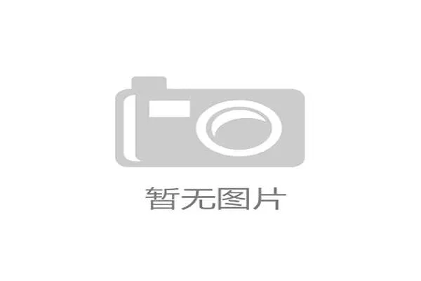 1934年世界杯荷兰队未参赛的赛程之谜